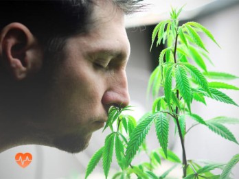 Детоксикация от марихуаны в Ровеньках